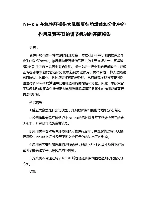 NF-κB在急性肝损伤大鼠卵原细胞增殖和分化中的作用及黄芩苷的调节机制的开题报告