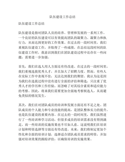 队伍建设工作总结