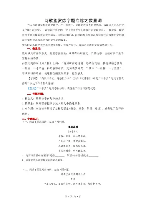 高考语文复习-诗歌鉴赏炼字题专练之数量词