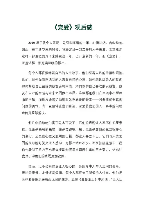 《宠爱》观后感