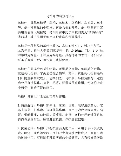 乌桕叶的功效与作用