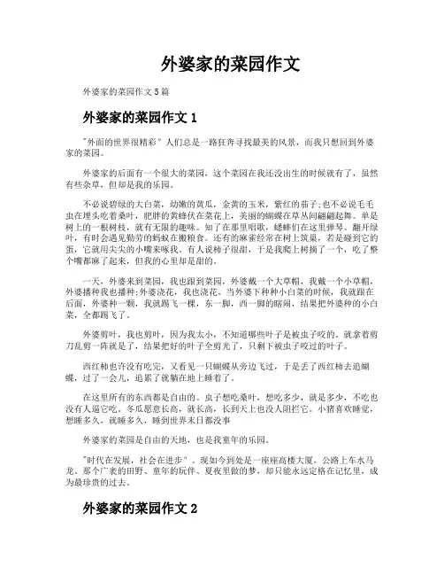 外婆家的菜园作文
