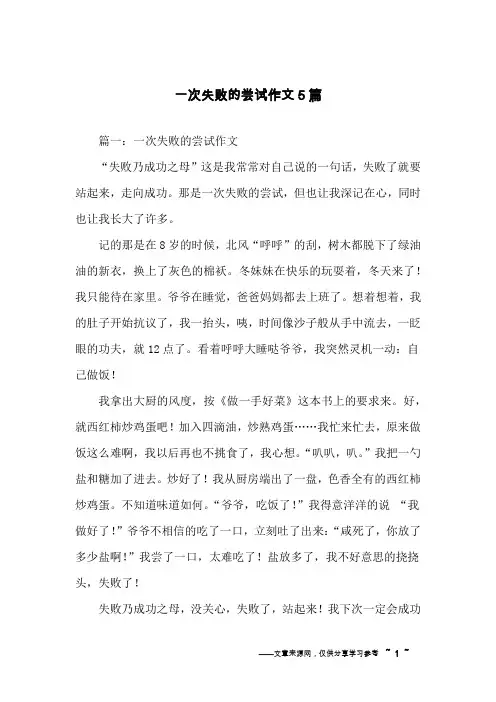一次失败的尝试作文5篇