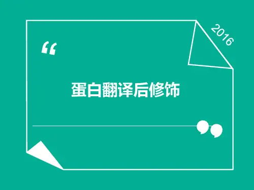 蛋白翻译后修饰
