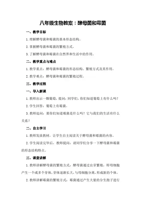 八年级生物教案：酵母菌和霉菌