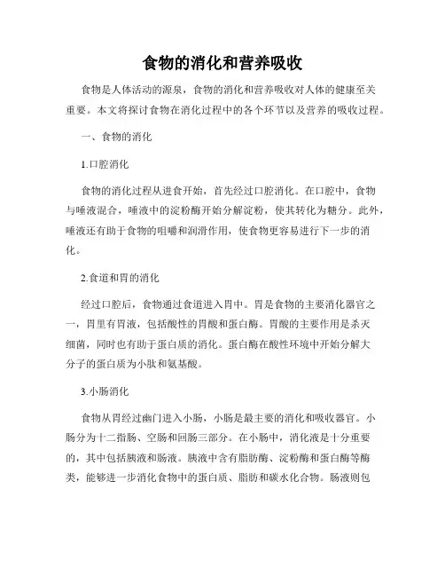食物的消化和营养吸收
