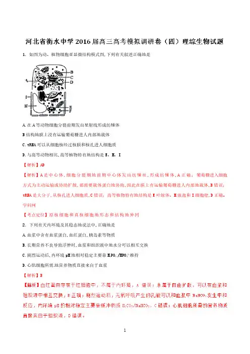 精品解析：【全国百强校】河北省衡水中学2023届高三高考模拟调研卷(四)理综生物试题解析(解析版)