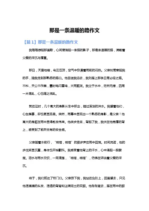 那是一条温暖的路作文