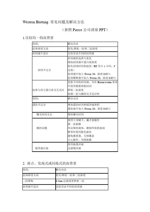 western显影问题及解决方案以及抗体选择
