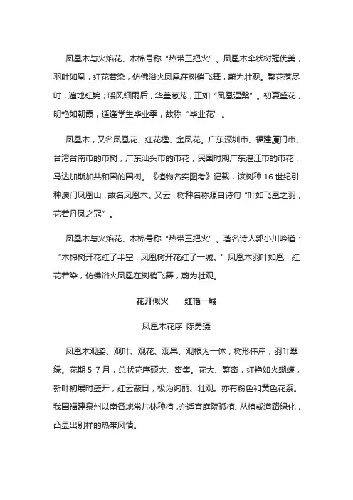 凤凰木