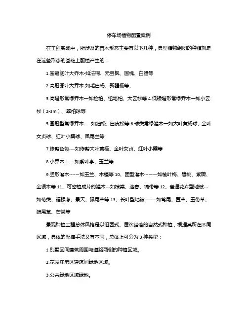 停车场植物配置案例