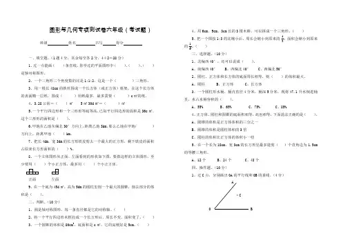 图形与几何专项测试卷六年级(考试题)