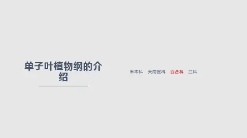 中药类药用植物PPT课件