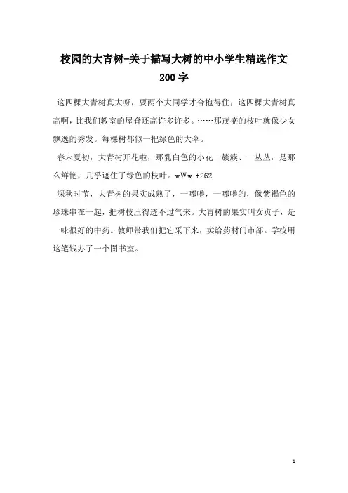 校园的大青树-关于描写大树的中小学生精选作文200字