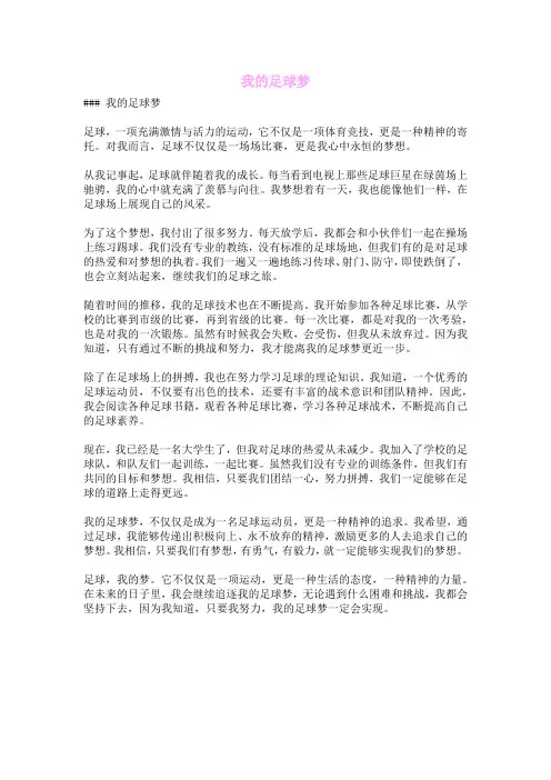 我的足球梦