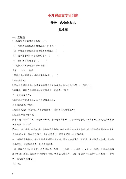 小升初语文知识专项训练：9.修辞比喻和拟人及答案解析(119页)[精品]