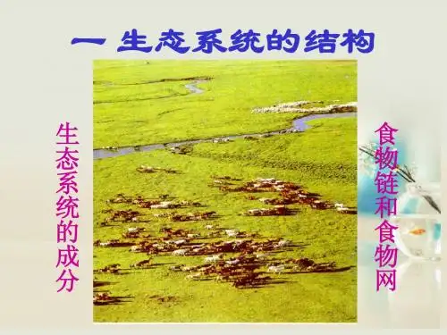 高中生物《第五章 第一节 生态系统的结构》课件 新人教版必修3
