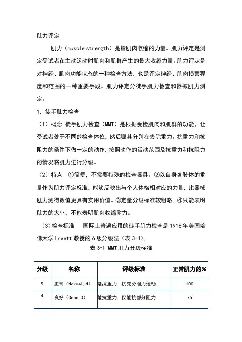 肌力评定