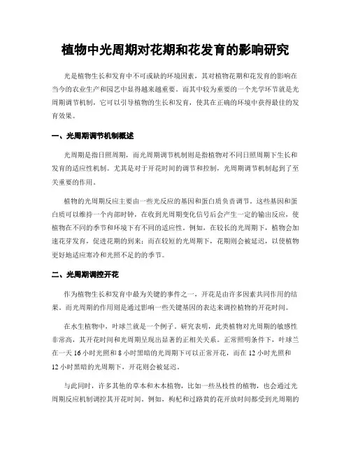 植物中光周期对花期和花发育的影响研究