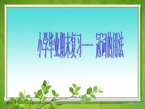 人教PEP版小学英语六年级毕业复习——冠词的用法
