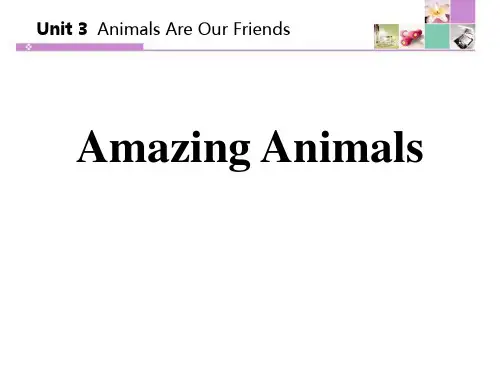 冀教版八年级英语下册 (Amazing Animals)Animals Are Our Friend