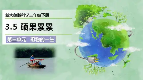 新大象版科学三年级下册第三单元 植物的一生《硕果累累》优质课件