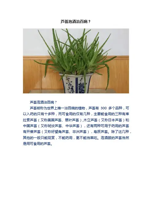 芦荟泡酒治百病？