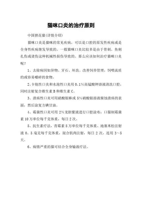 猫咪口炎的治疗原则