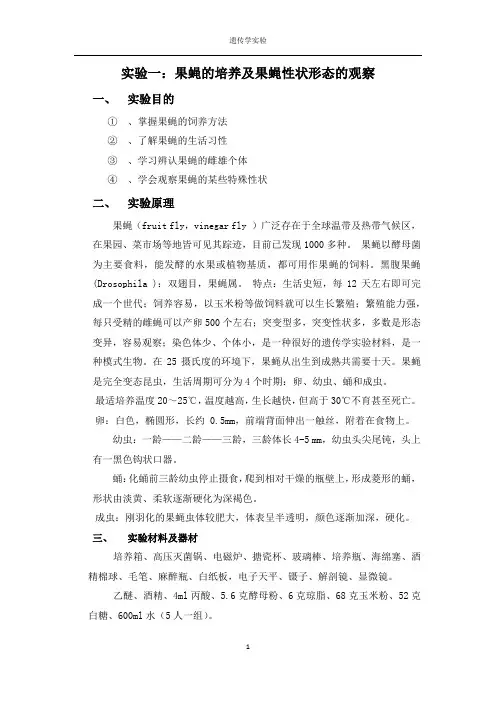果蝇的培养及果蝇性状形态的观察