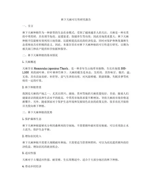 林下天麻可行性研究报告
