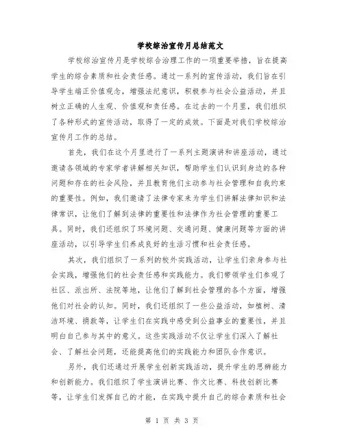 学校综治宣传月总结范文