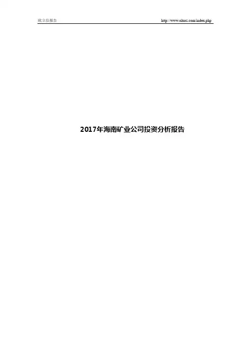 2017年海南矿业公司投资分析报告