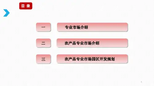 农产品专业市场ppt课件