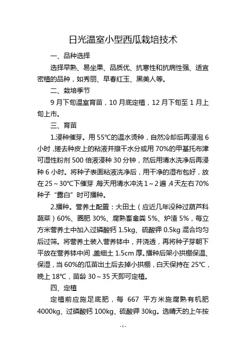 日光温室小型西瓜栽培技术