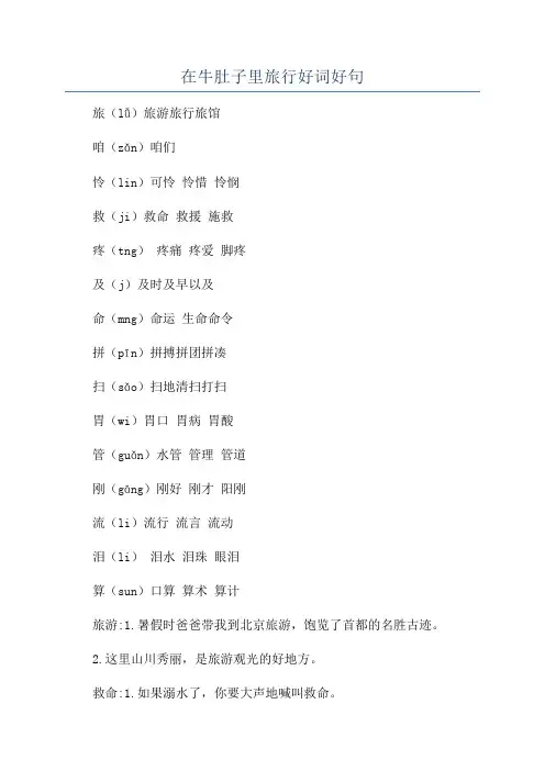 在牛肚子里旅行好词好句