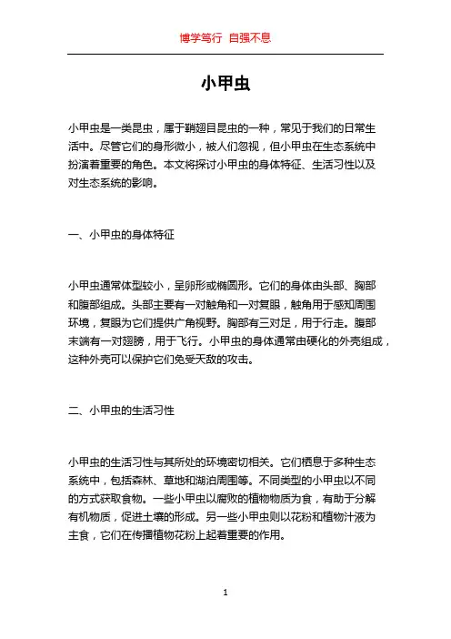 小甲虫_精品文档