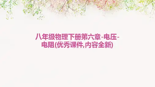八年级物理下册第六章-电压-电阻(优秀课件,内容全新)