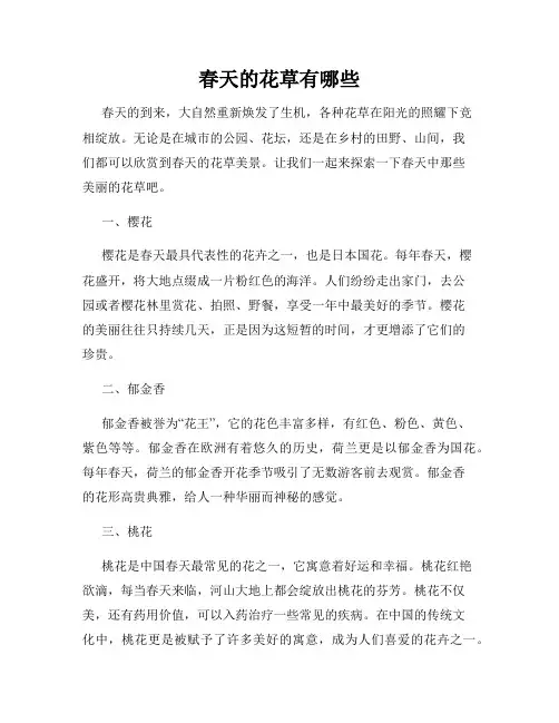 春天的花草有哪些