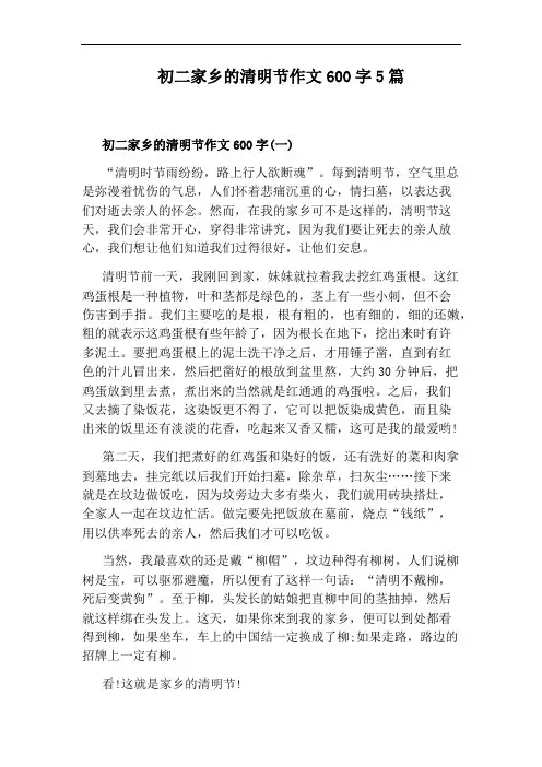 初二家乡的清明节作文600字5篇