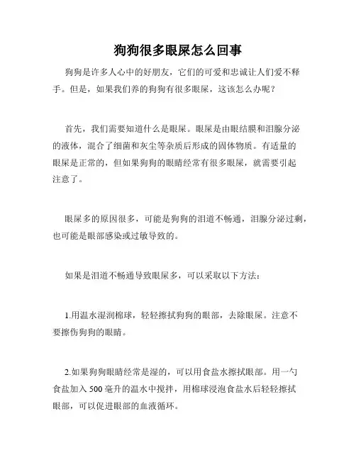 狗狗很多眼屎怎么回事