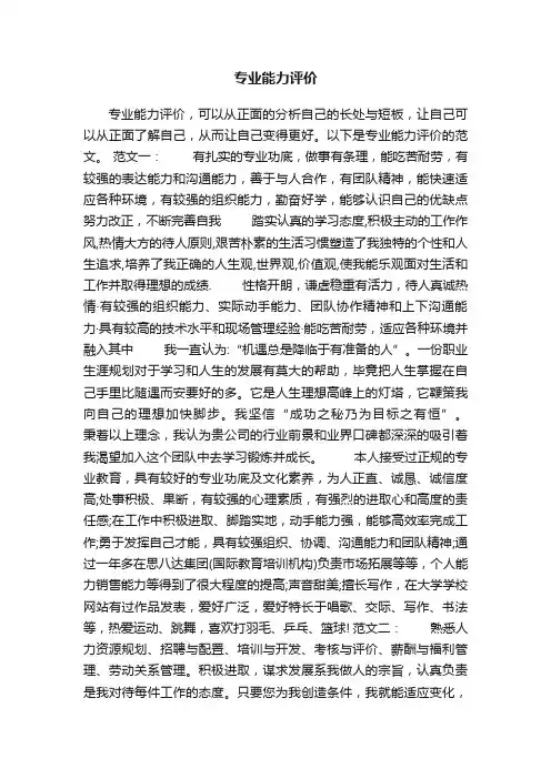 专业能力评价