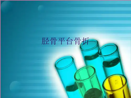 胫骨平骨折ppt课件