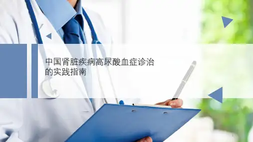 慢性肾脏病合并高尿酸血症诊治PPT精选课件