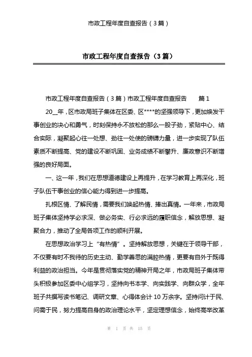 市政工程年度自查报告(3篇)
