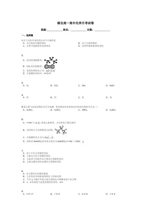 湖北高一高中化学月考试卷带答案解析

