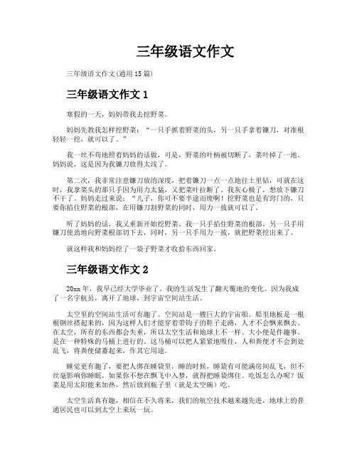 三年级语文作文