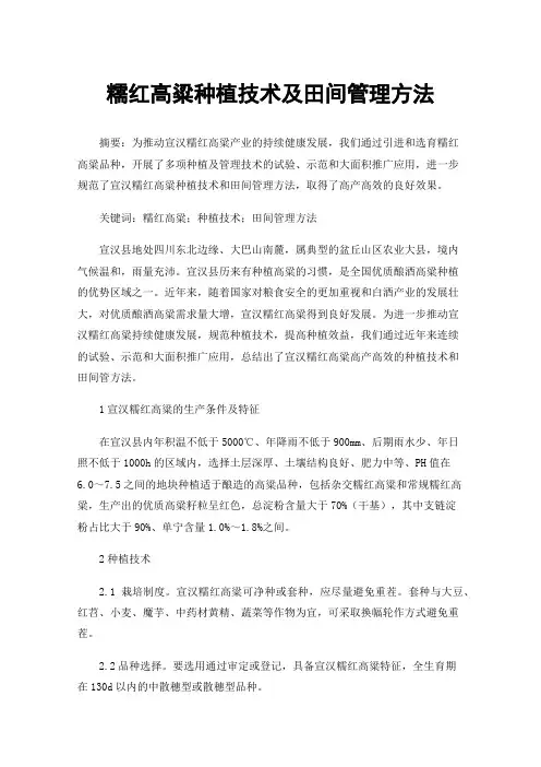 糯红高粱种植技术及田间管理方法