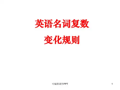 英语名词复数形式ppt课件