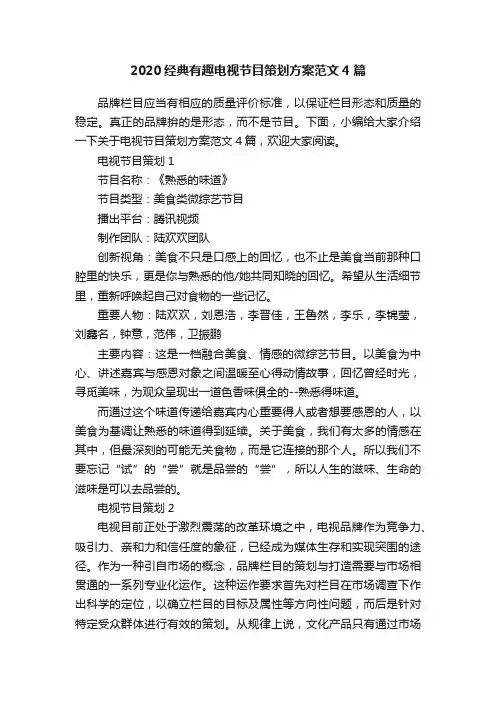 2020经典有趣电视节目策划方案范文4篇