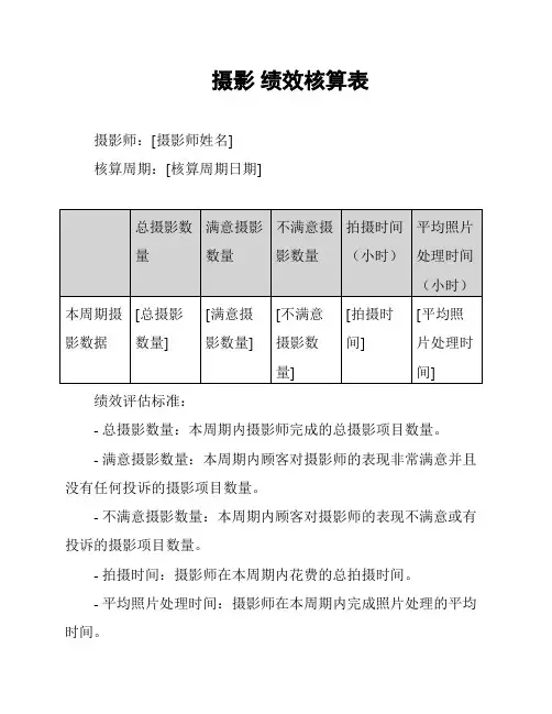 摄影 绩效核算表